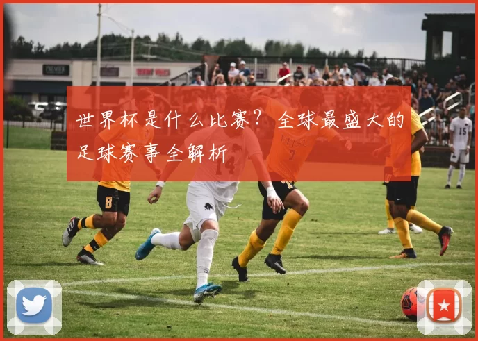 世界杯是什么比赛?全球最盛大的足球赛事全解析