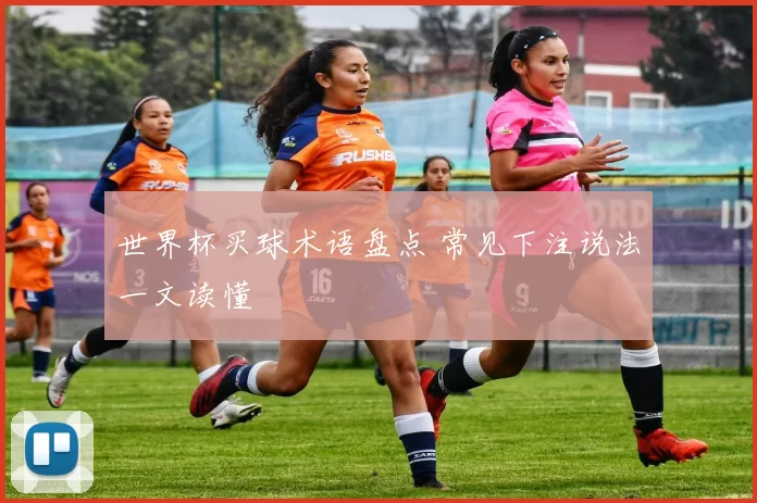 世界杯买球术语盘点 常见下注说法一文读懂