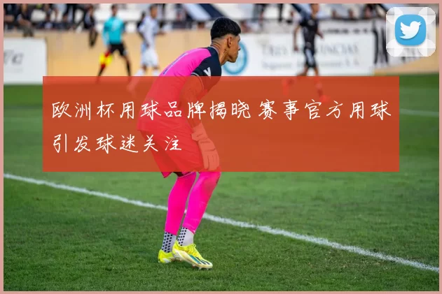 欧洲杯用球品牌揭晓 赛事官方用球引发球迷关注