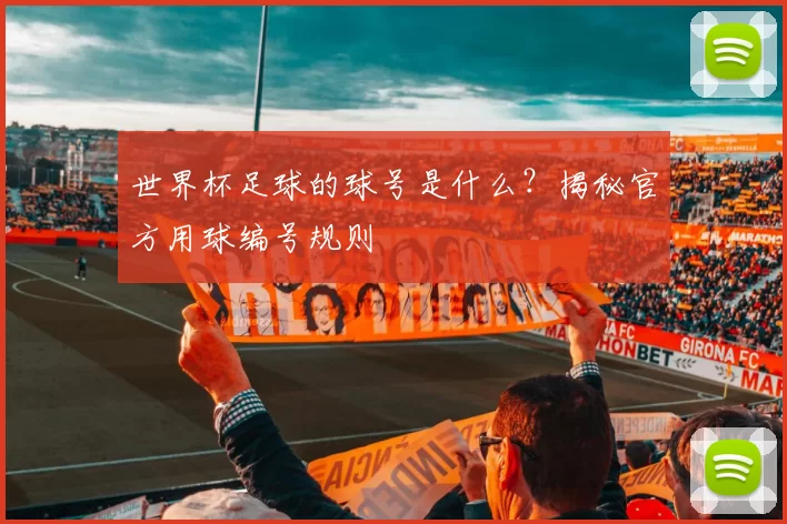 世界杯足球的球号是什么?揭秘官方用球编号规则