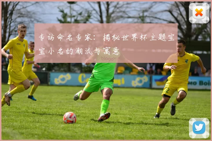 专访命名专家:揭秘世界杯主题宝宝小名的潮流与寓意