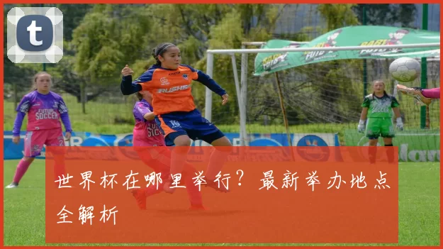 世界杯在哪里举行？最新举办地点全解析