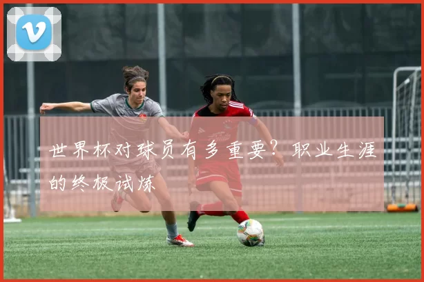 世界杯对球员有多重要？职业生涯的终极试炼