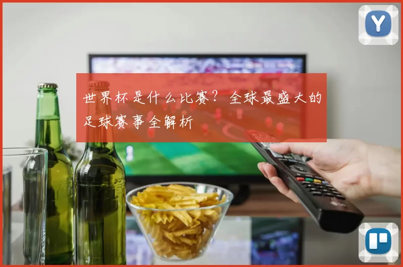世界杯是什么比赛？全球最盛大的足球赛事全解析