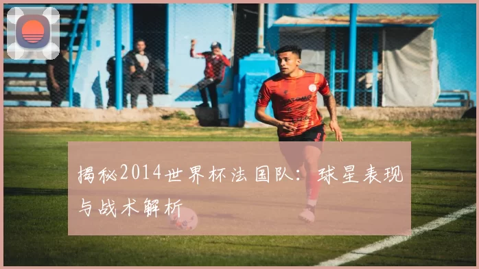 揭秘2014世界杯法国队:球星表现与战术解析