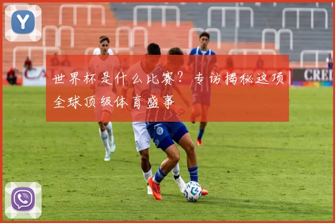 世界杯是什么比赛？专访揭秘这项全球顶级体育盛事