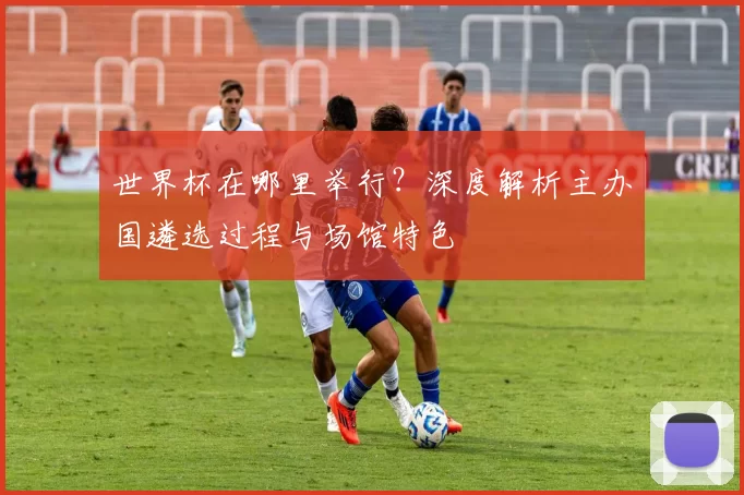 世界杯在哪里举行？深度解析主办国遴选过程与场馆特色