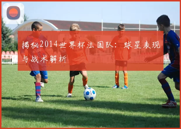 揭秘2014世界杯法国队：球星表现与战术解析