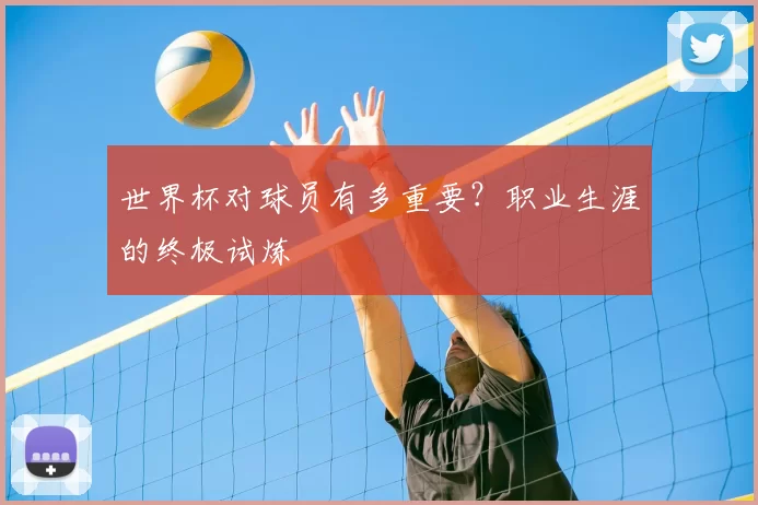 世界杯对球员有多重要？职业生涯的终极试炼