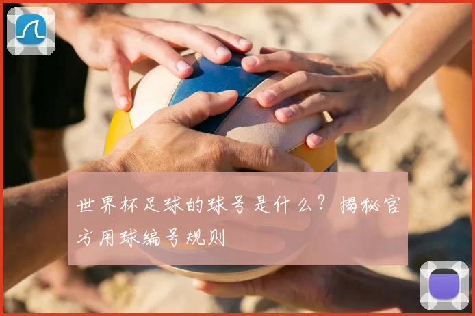 世界杯足球的球号是什么？揭秘官方用球编号规则