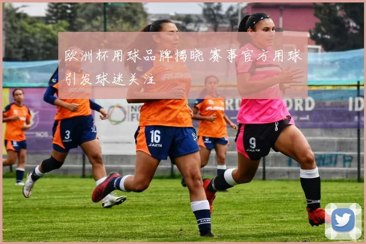 欧洲杯用球品牌揭晓 赛事官方用球引发球迷关注