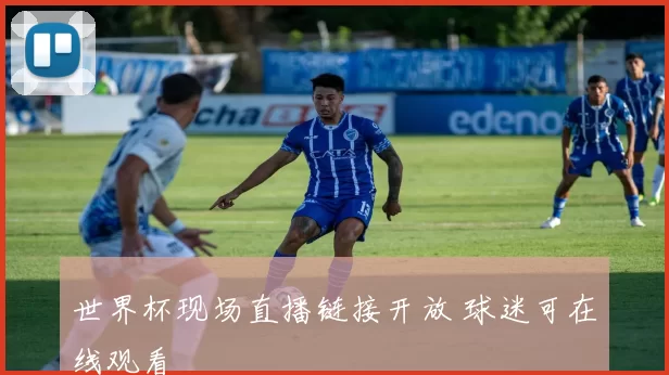 世界杯现场直播链接开放 球迷可在线观看